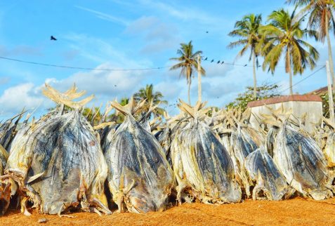 Negombo