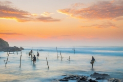 stilt-fisher stilt-fisher